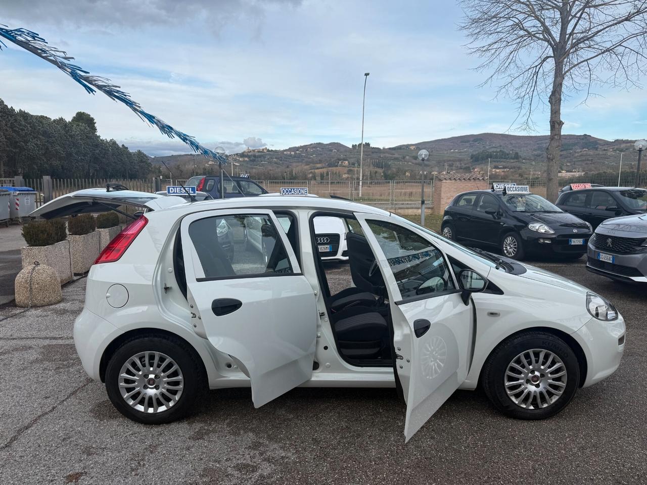 " UNA CHICCA " Fiat Punto 1.3 MJT 95 CV 5 porte