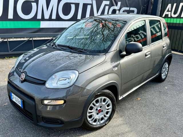 Fiat Panda Panda 1.0 firefly hybrid DISPONIBILI VARI COLORI