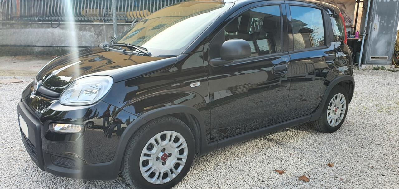 Fiat Panda 1.0 Hybrid TRATTABILE