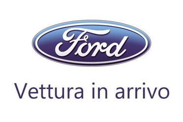 Ford Puma 1.0 Ecoboost Hybrid 125CV ST-Line X