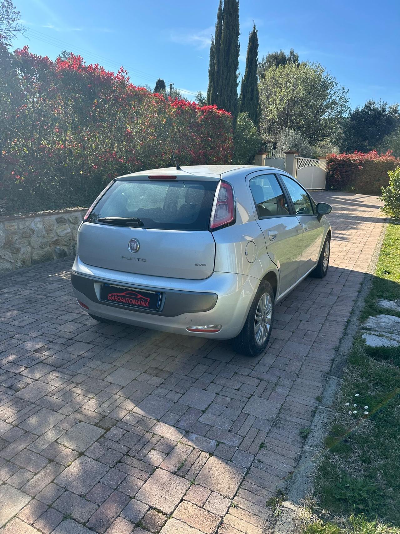 Fiat Punto Evo 1.3 Mjt 75 CV DPF 5 porte S&S Dynamic