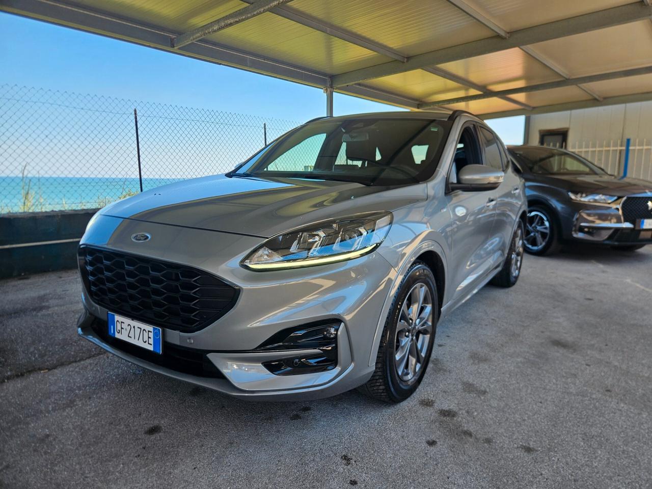Ford Kuga 1.5 EcoBlue 120 CV aut. 2WD ST-Line X