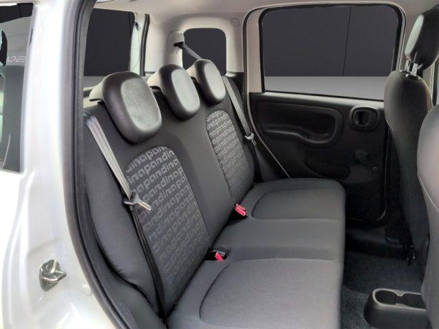 FIAT Panda 1.0 FireFly S&S Hybrid Pandina