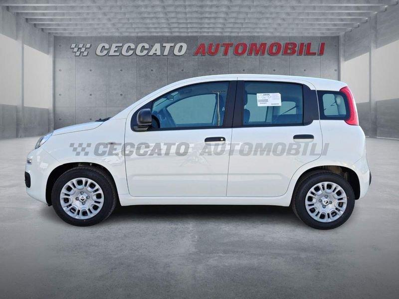 FIAT Panda Panda 1.0 firefly hybrid s&s 70cv