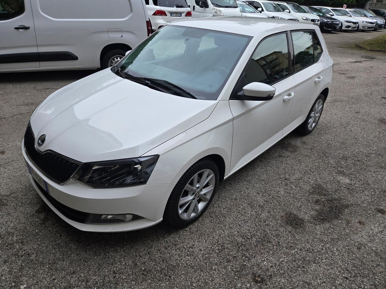 Skoda Fabia 1.4 TDI 75 CV Autocarro 4Posti