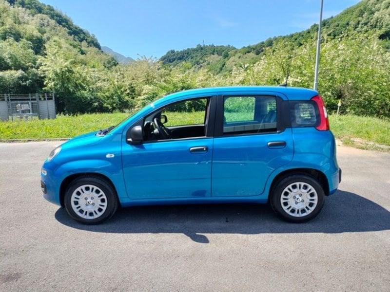 FIAT Pandina 1.0 FireFly 65cv S&S Hybrid Icon 5 posti con comandi al volante!!
