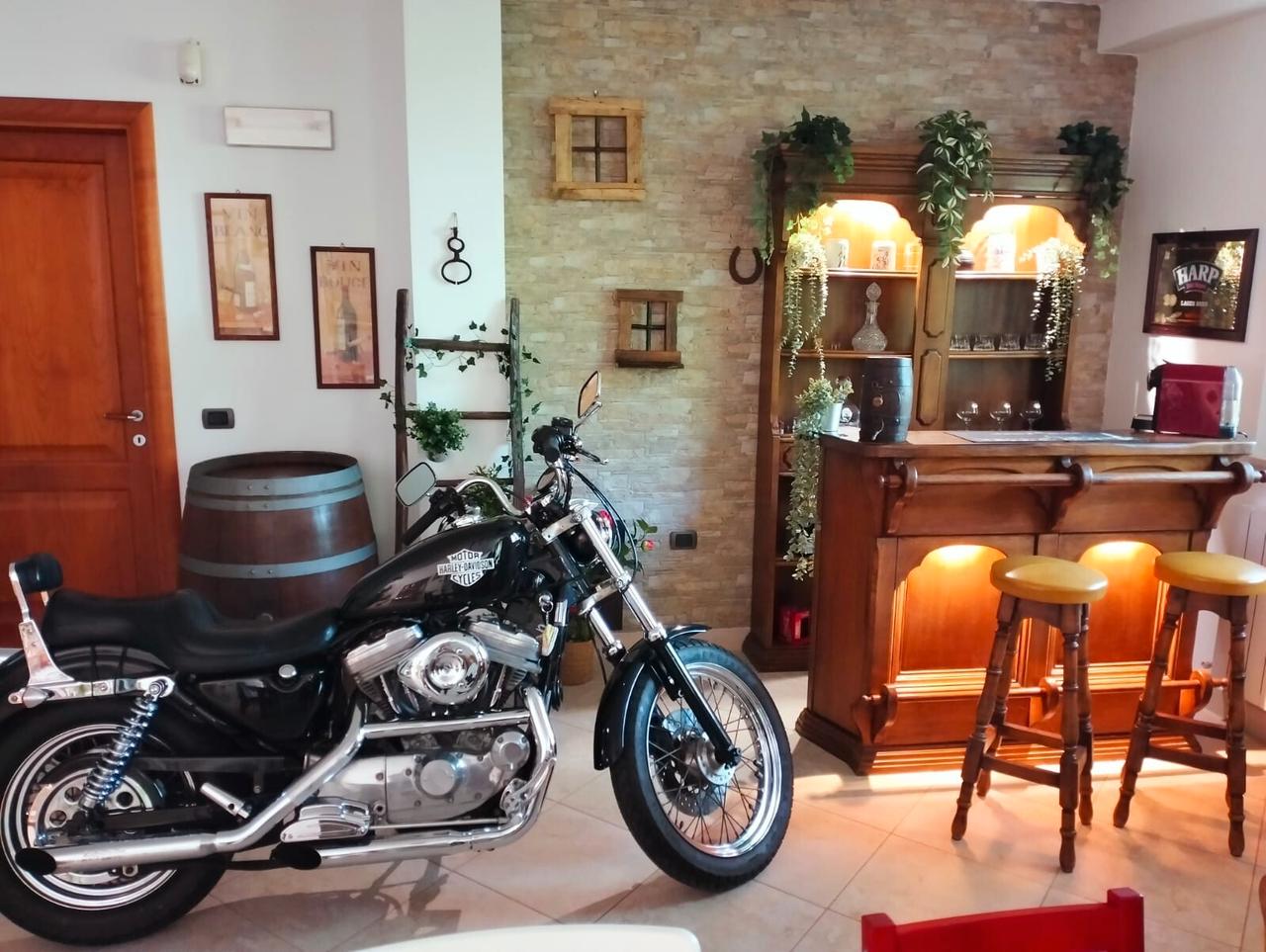 Harley-davidson 883 Sportster - SOLO 9600 KM originali