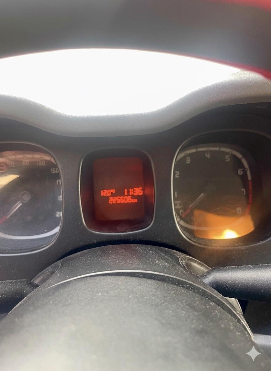 Fiat Panda 1.4 Natural Power Classic