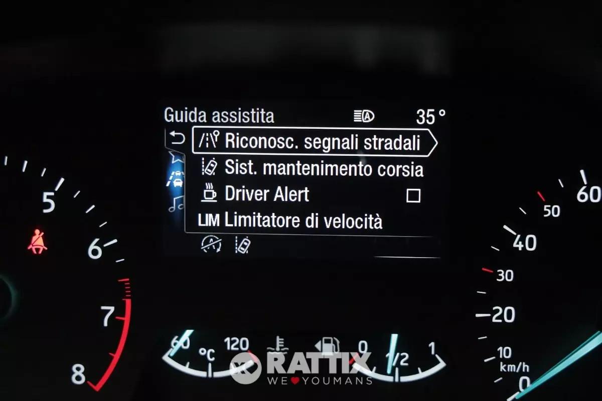 Ford Fiesta 1.0 Ecoboost Hybrid 125CV Titanium