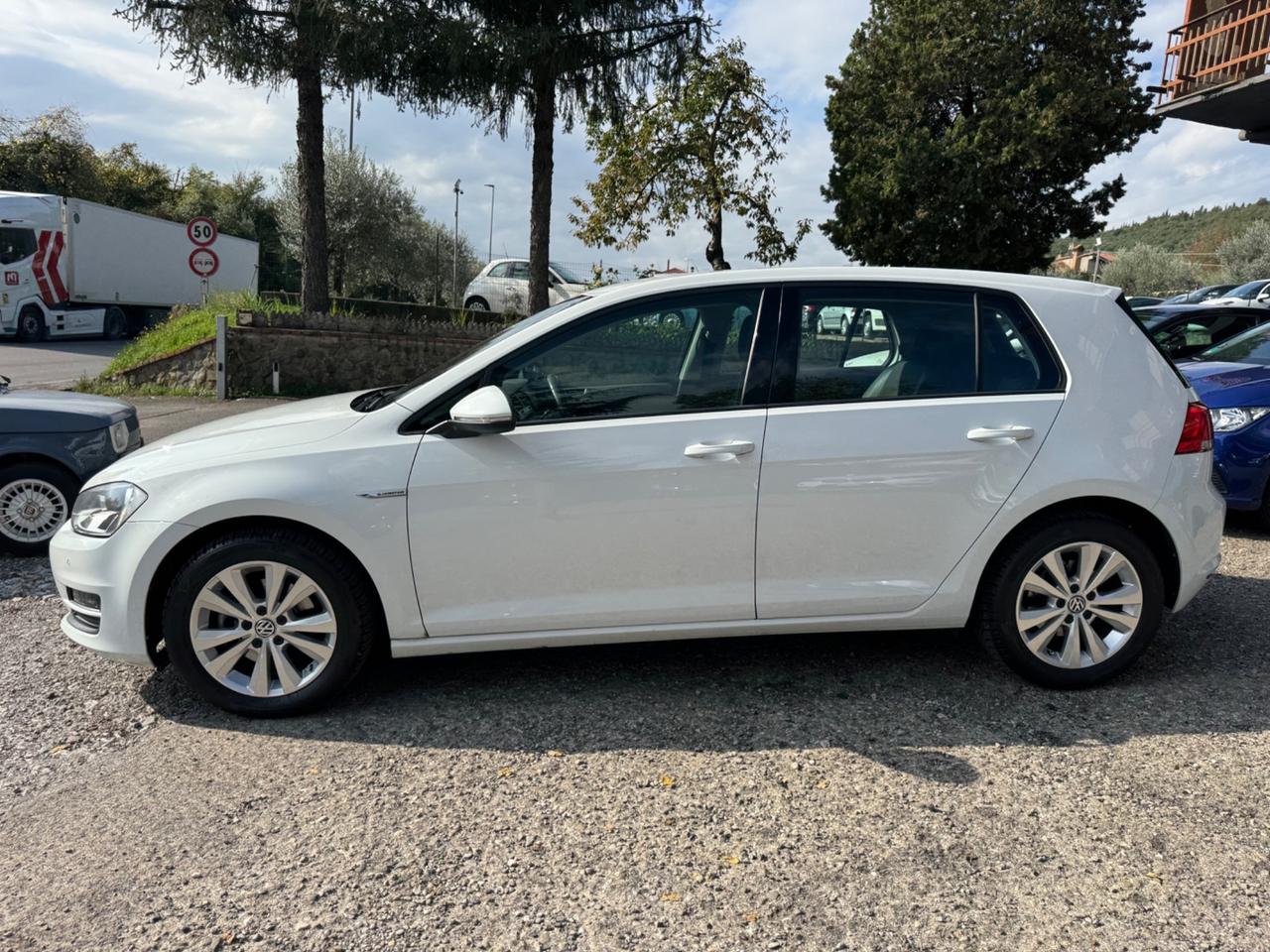 Volkswagen Golf Business 1.4 TGI 5p. Highline BlueMotion