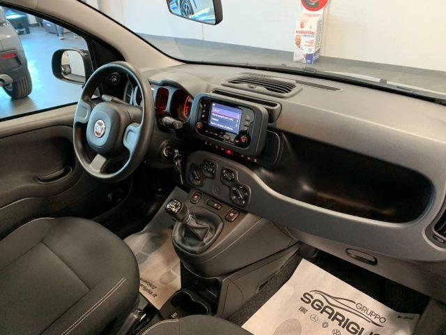 FIAT Panda 1.0 Benzina Hybrid City Life