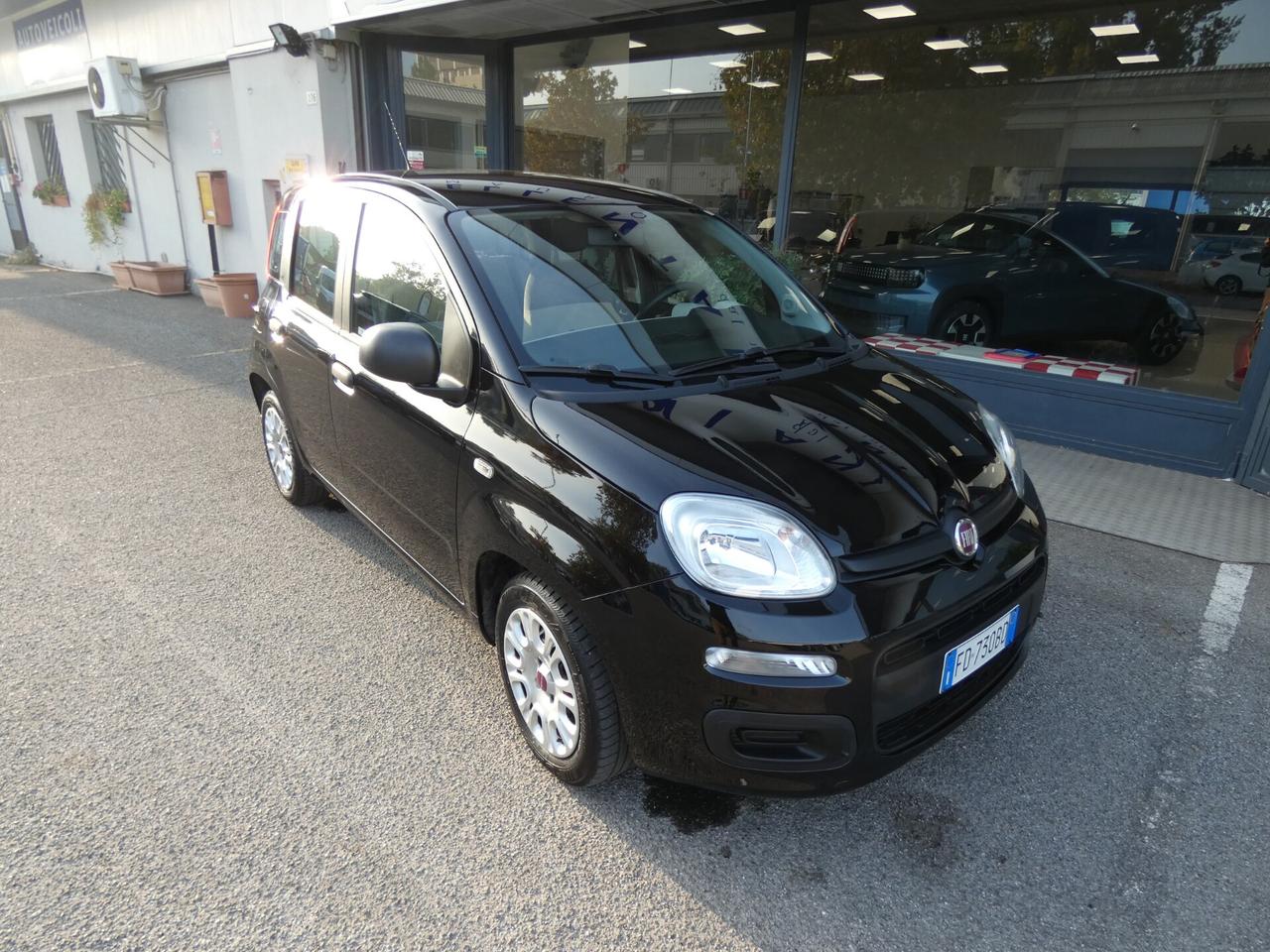 FIAT Panda 3ª serie Panda 1.2 Easy