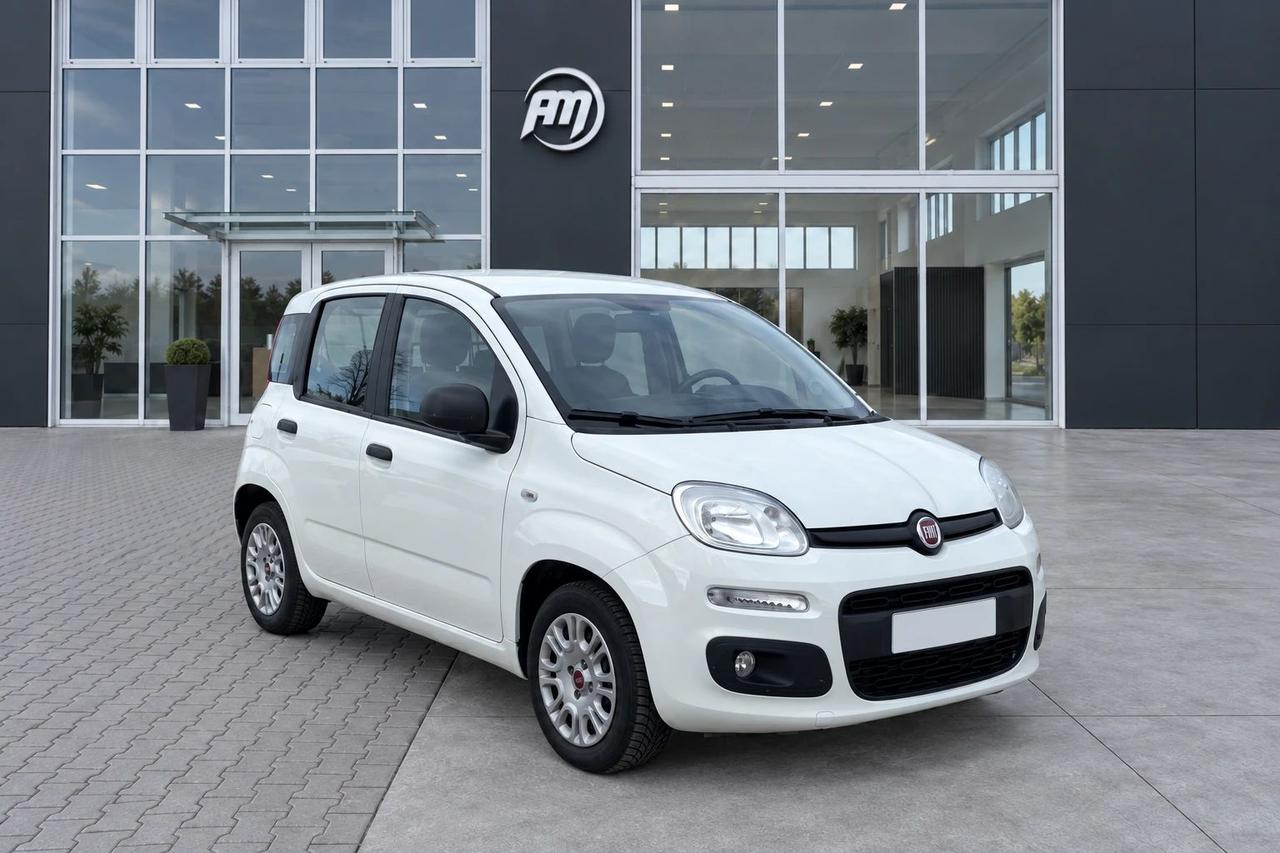 Fiat Panda 1.3Mjt Autocarro N1