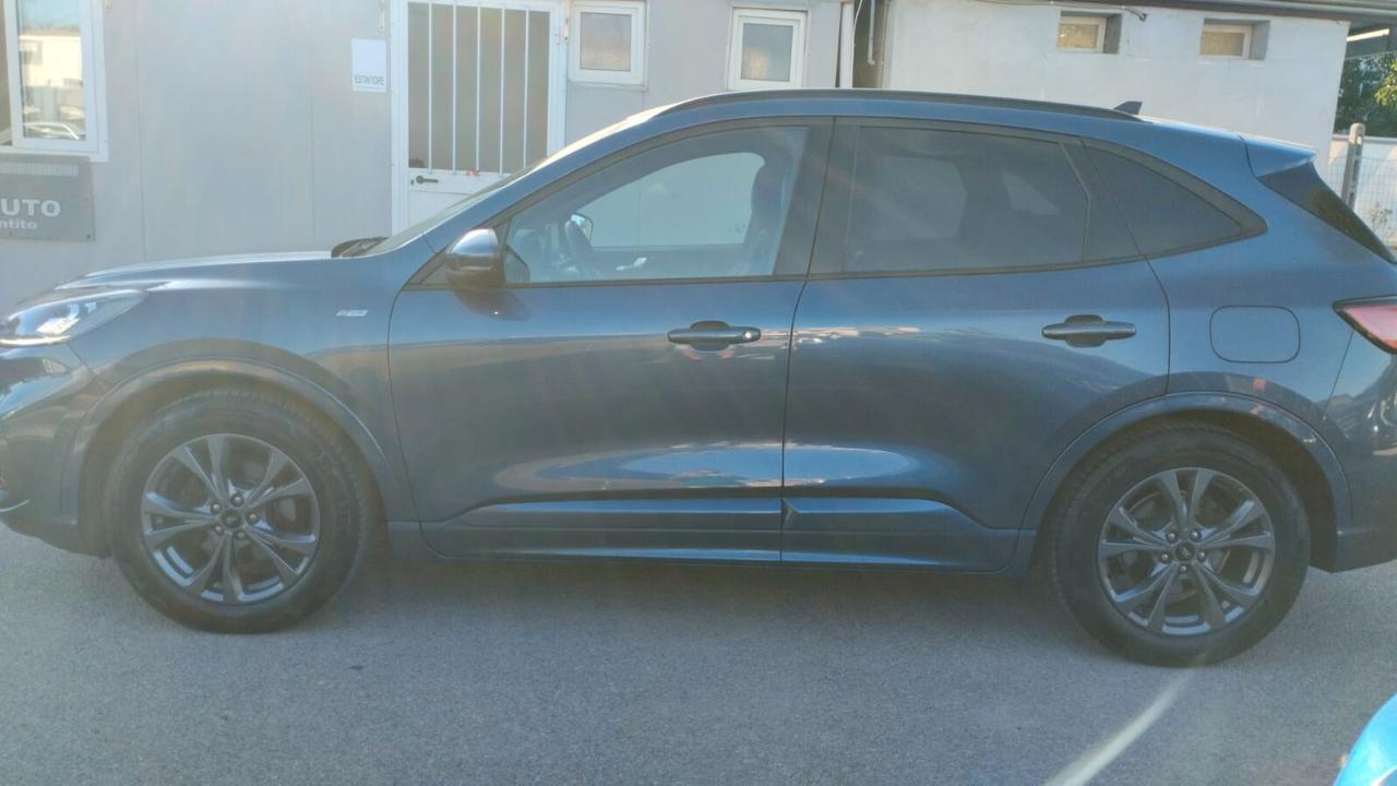 Ford Kuga 1.5 EcoBlue 120 CV 2WD ST-Line X