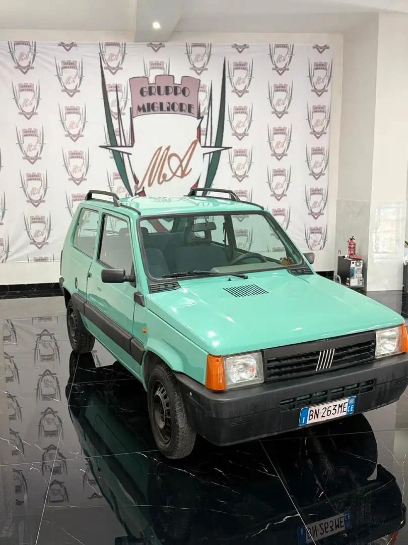 Fiat Panda 1100 i.e. cat Young