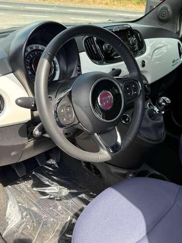 Fiat 500 500 1.0 hybrid Cult 70cv PRONTA CONSEGNA