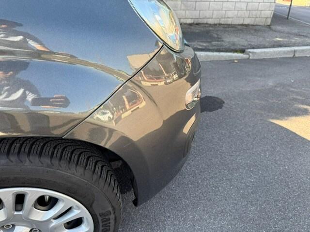 FIAT Panda 3ª serie Panda 1.2 Pandazzurri