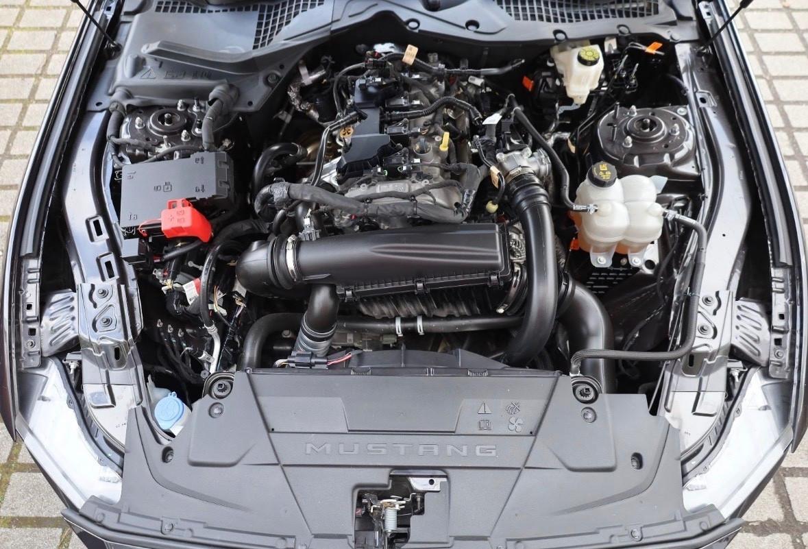 Ford Mustang 317cv 2024