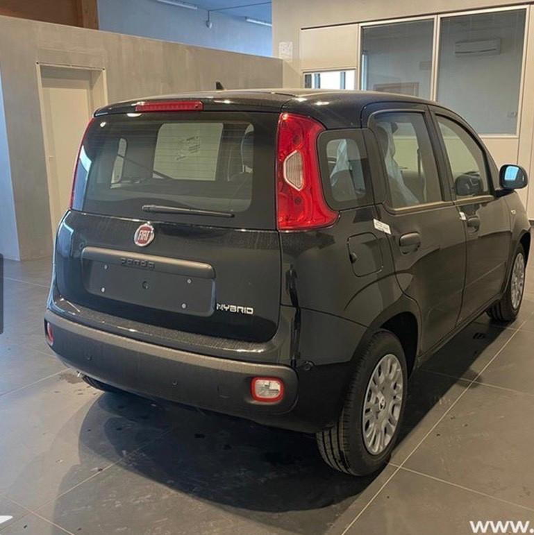 Fiat Panda 1.0 FireFly S&S Hybrid Icon