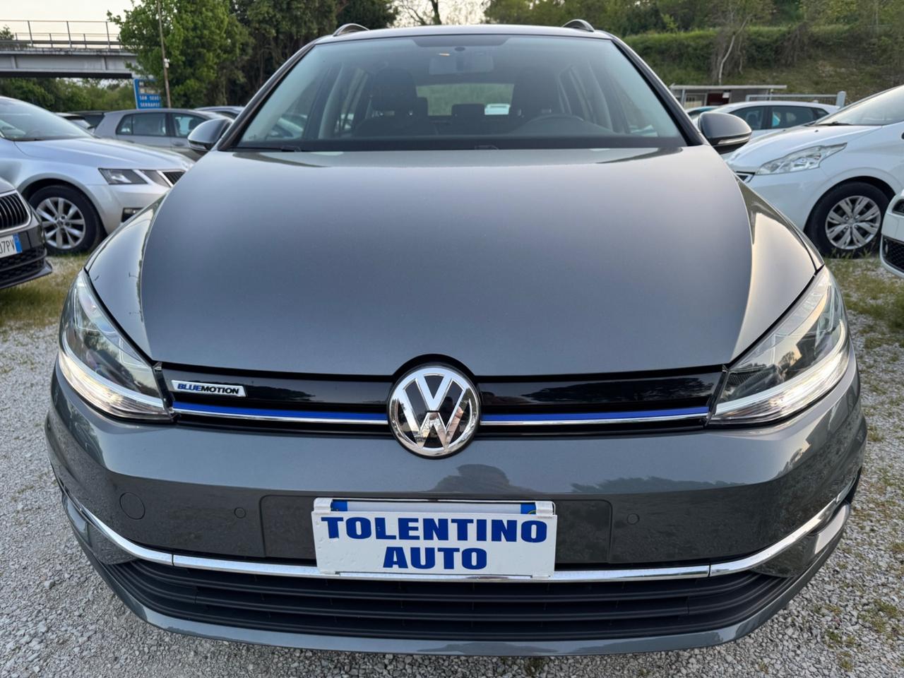 Volkswagen Golf Variant 1.5 TGI 130Cv DSG Business