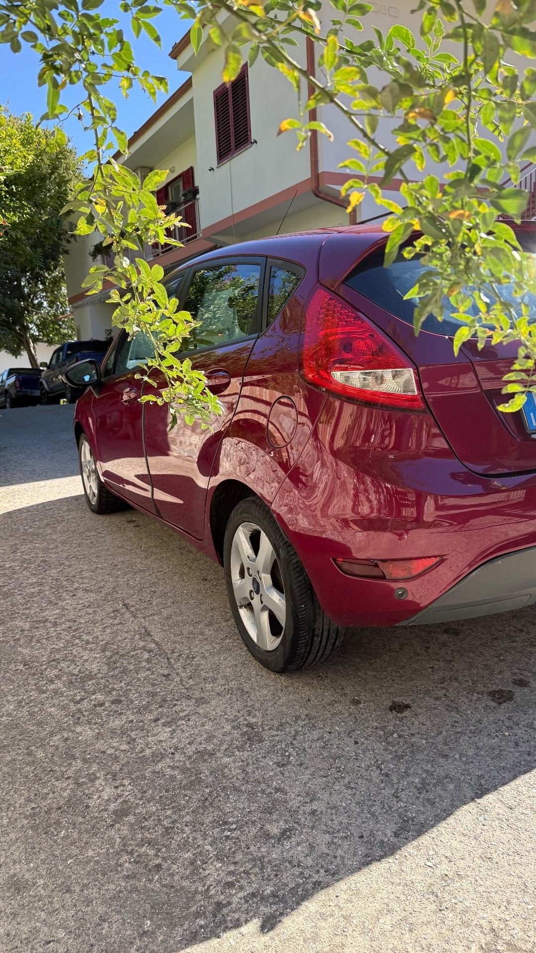 Ford Fiesta 1.2 82 CV 5 porte Titanium