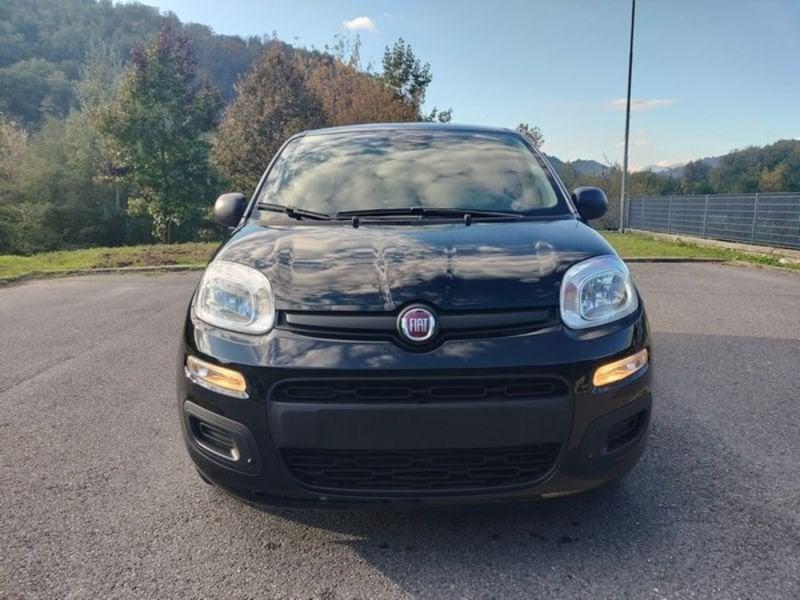 FIAT Panda Panda 1.0 FireFly S&S Hybrid, Sensori di parcheggio, 5 posti e stereo Bluetooth. GPL!!