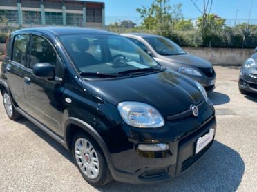 Fiat Panda 1.0 FireFly S&S Hybrid City Life 2023 IVA DEDUCIBILE