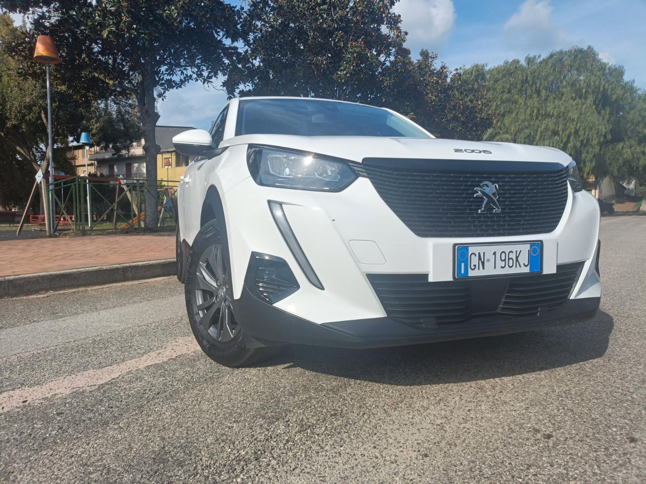 Peugeot 2008 Active Puretech100 S&S 100CV -2020- - CINGHIA DISTRIBUZIONE APPENA SOSTITUITA-