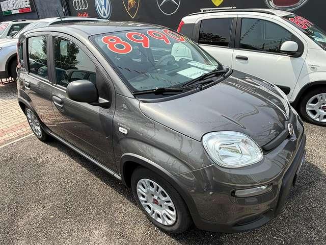 Fiat Panda Panda 1.0 firefly hybrid DISPONIBILI VARI COLORI