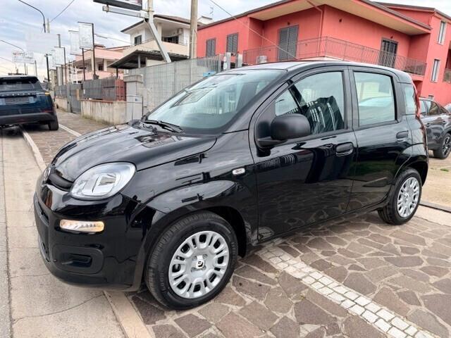 Fiat Panda 1.0 FireFly S&S Hybrid Pandina