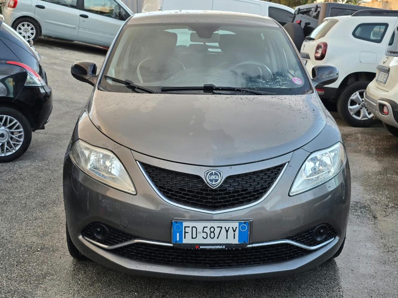 Lancia Ypsilon 1.3 MJT 16V 95 CV 5 porte S&S Platinum