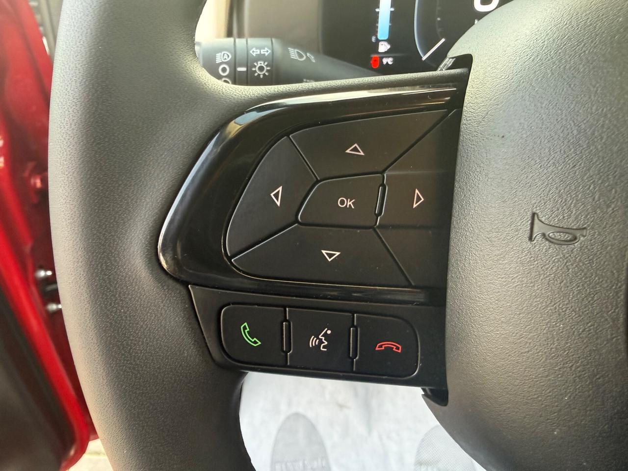 Fiat Panda CROSS 1.0 FireFly S&S Hybrid Pandina