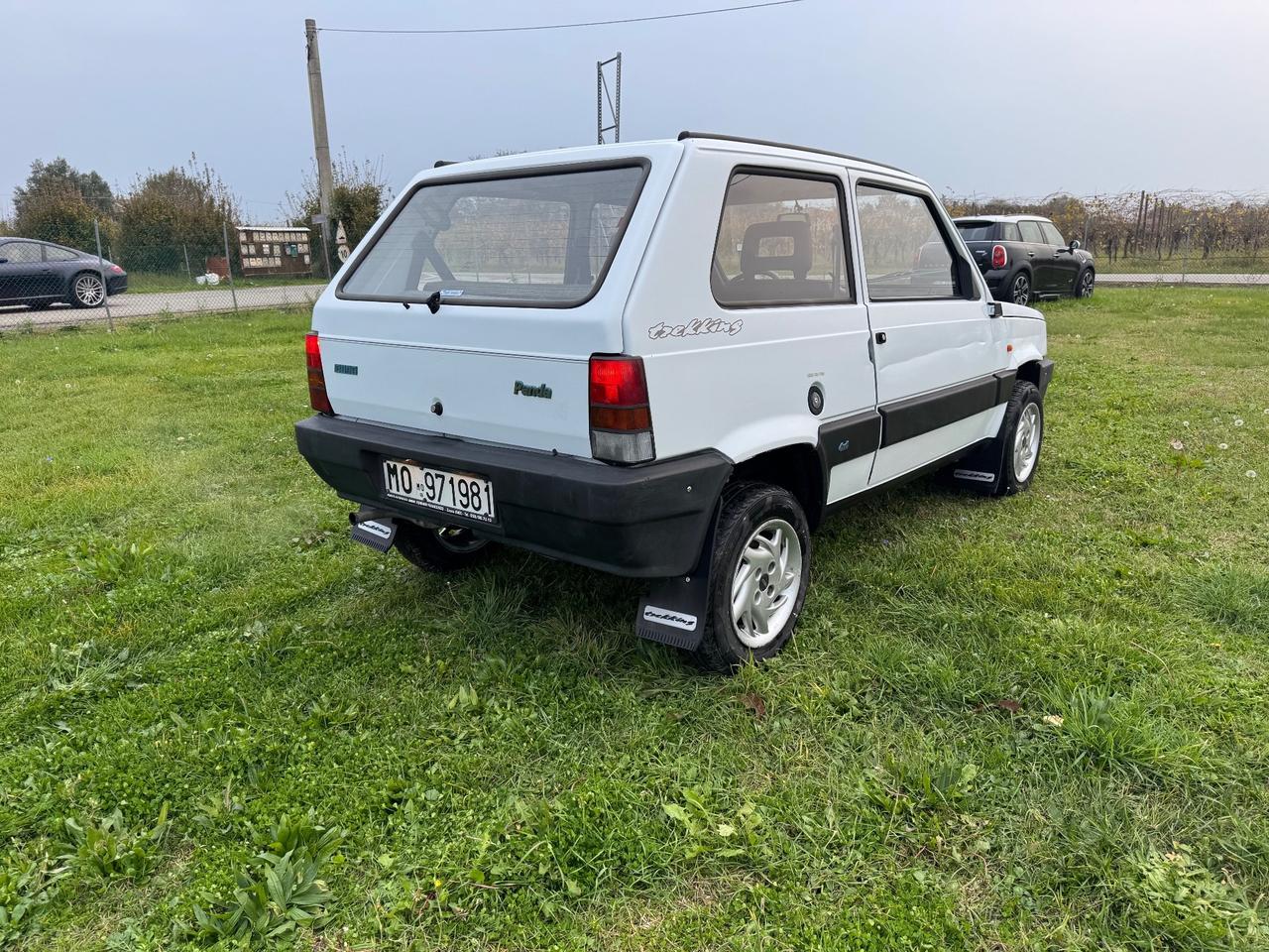 Fiat Panda 1100 i.e. cat 4x4 Trekking