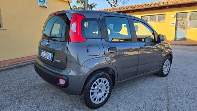 FIAT Panda 1.0 FIREFLY S&S HYBRID 5 POSTI AZIEN.LE GARANZIA