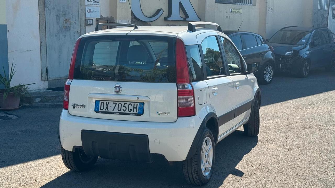 Fiat Panda 1.2 Climbing Natural Power