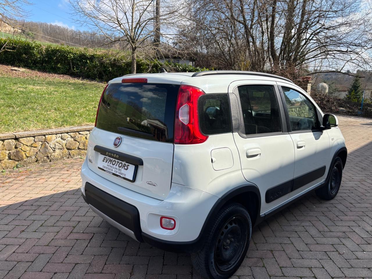 Fiat Panda 1.3 MJT S&S 4x4 Lounge Van 2 posti