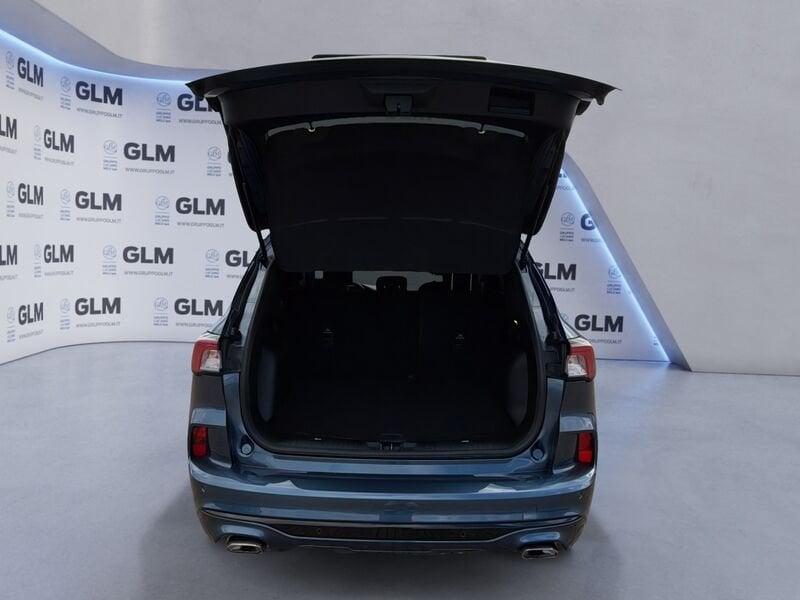 Ford Kuga Kuga 1.5 EcoBlue 120 CV 2WD ST-Line