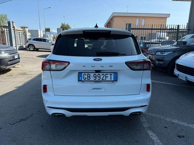 Ford Kuga 1.5 ecoblue ST-Line 2wd 120cv auto