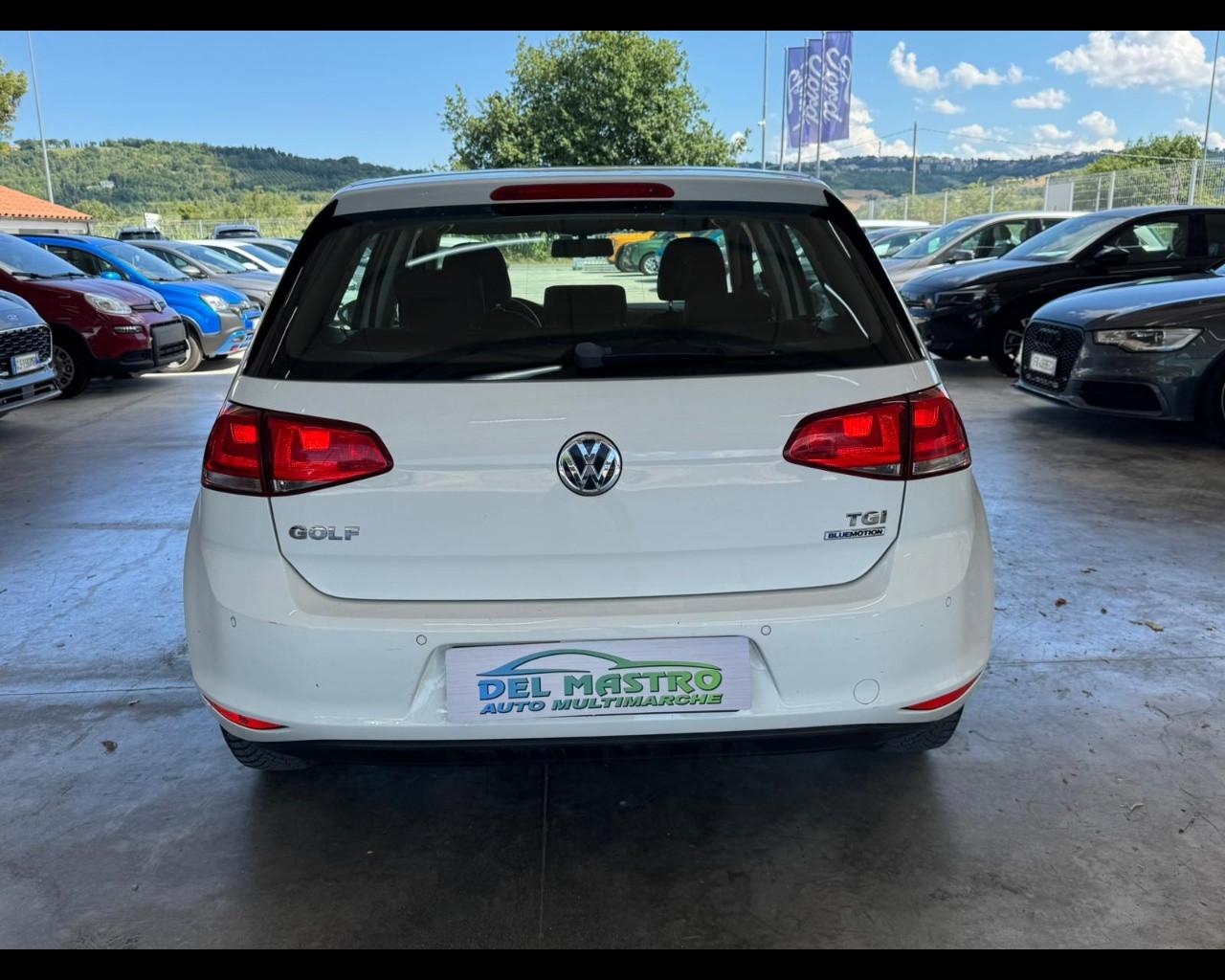 VOLKSWAGEN Golf 7ª serie - Golf 1.4 TGI 5p. Trendline BlueMotion