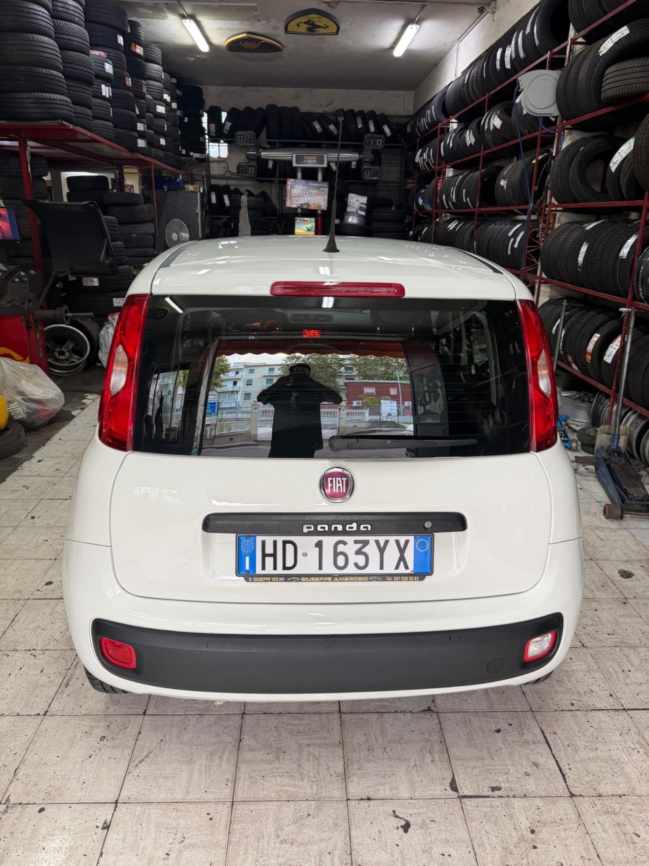 Fiat Panda 1.2 Easy 69 CAVALLI
