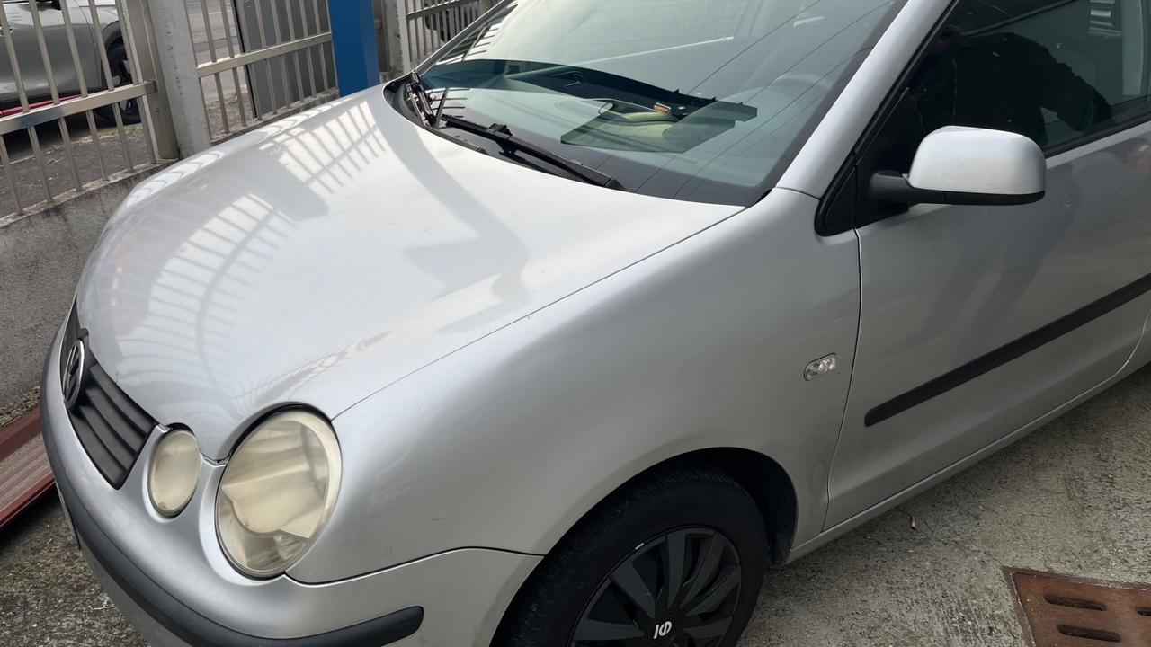 Volkswagen Polo 1.2 12V 3p. Comfortline km 102000