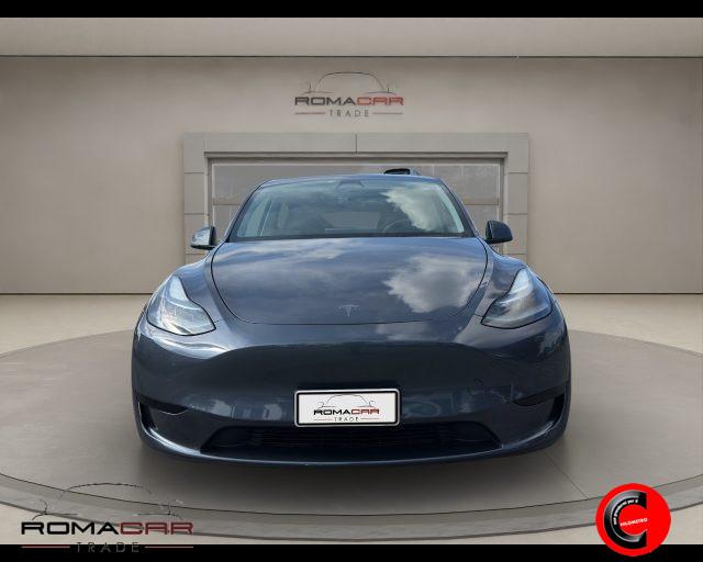TESLA Model Y RWD