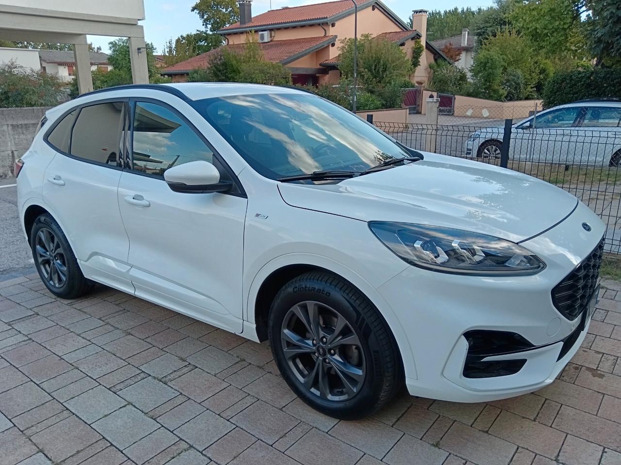 Ford Kuga 1.5 EcoBlue 120 CV aut.ST-Line