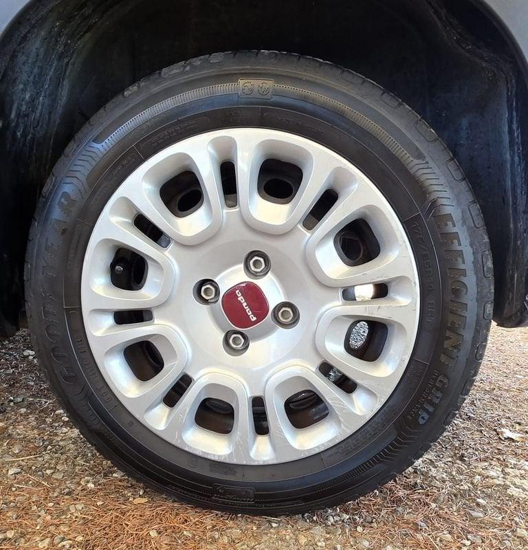 FIAT Panda Panda 1.0 firefly hybrid s&s 70cv 5p.ti