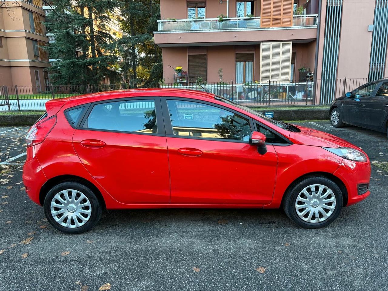 Ford Fiesta 1.4 5 porte Bz.- GPL Black & White Edition