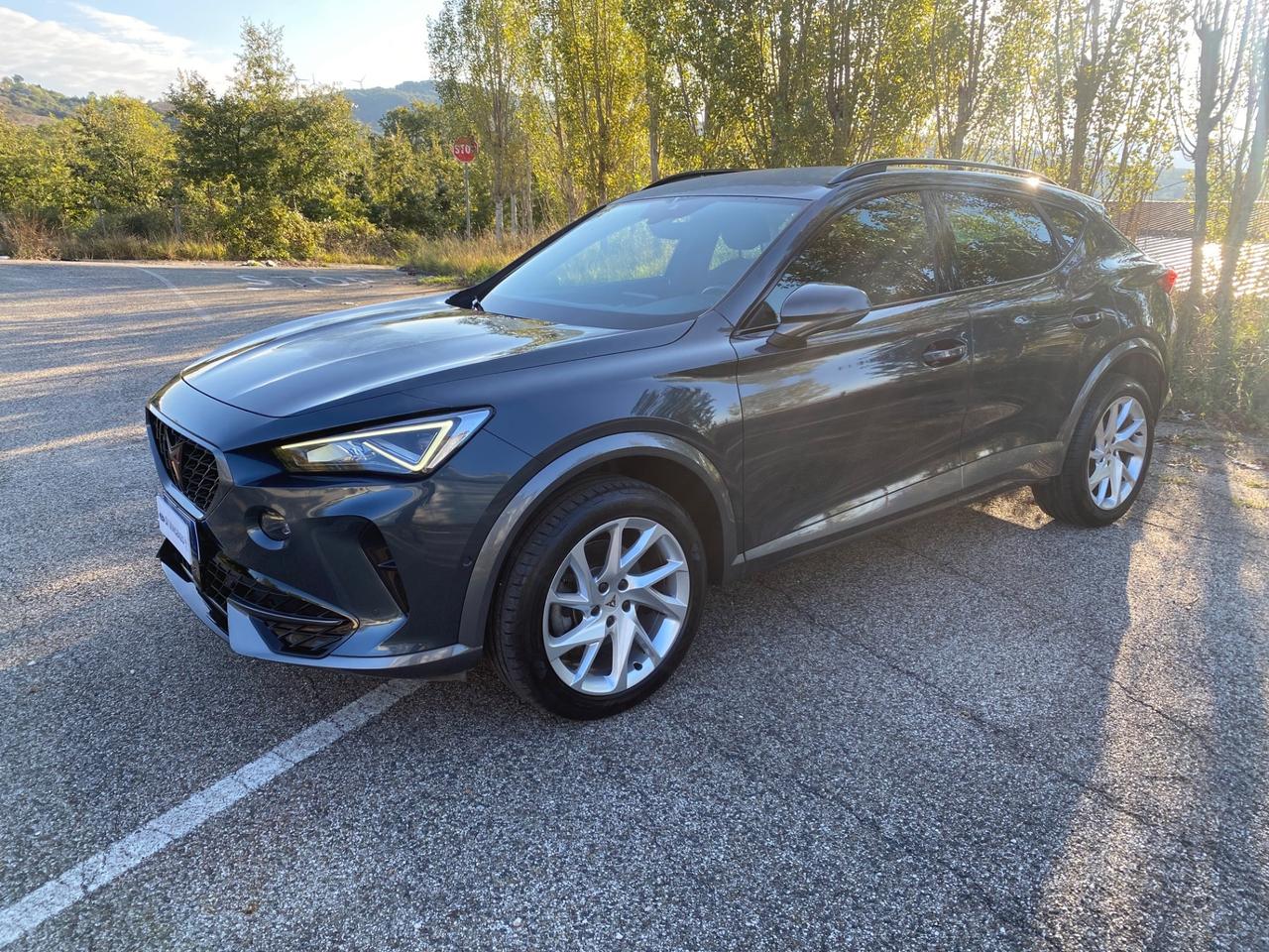 Cupra Formentor 2.0 TDI