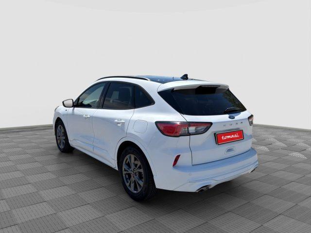 FORD Kuga Kuga 1.5 EcoBlue 120 CV aut. 2WD ST-Line