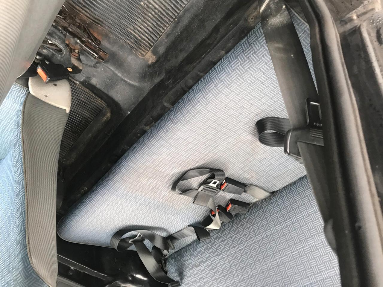 Fiat Panda 900 i.e. cat Young