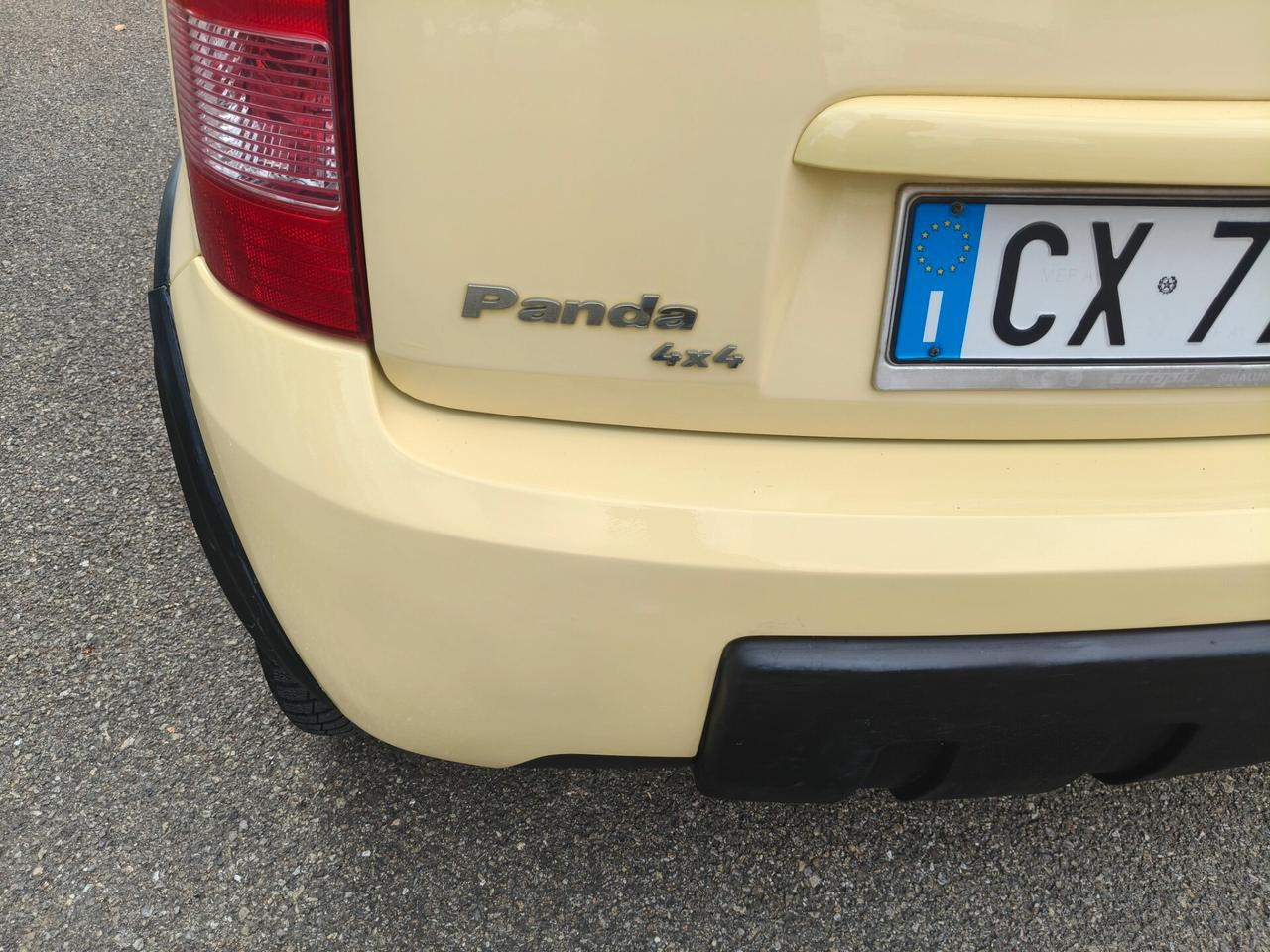 Fiat Panda 1.2 4x4 Climbing GPL NEOPATENTATI