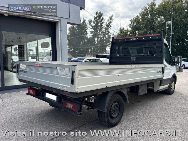 FORD Transit 350 2.0 EcoBlue 130CV Cassone Scattolini + IVA